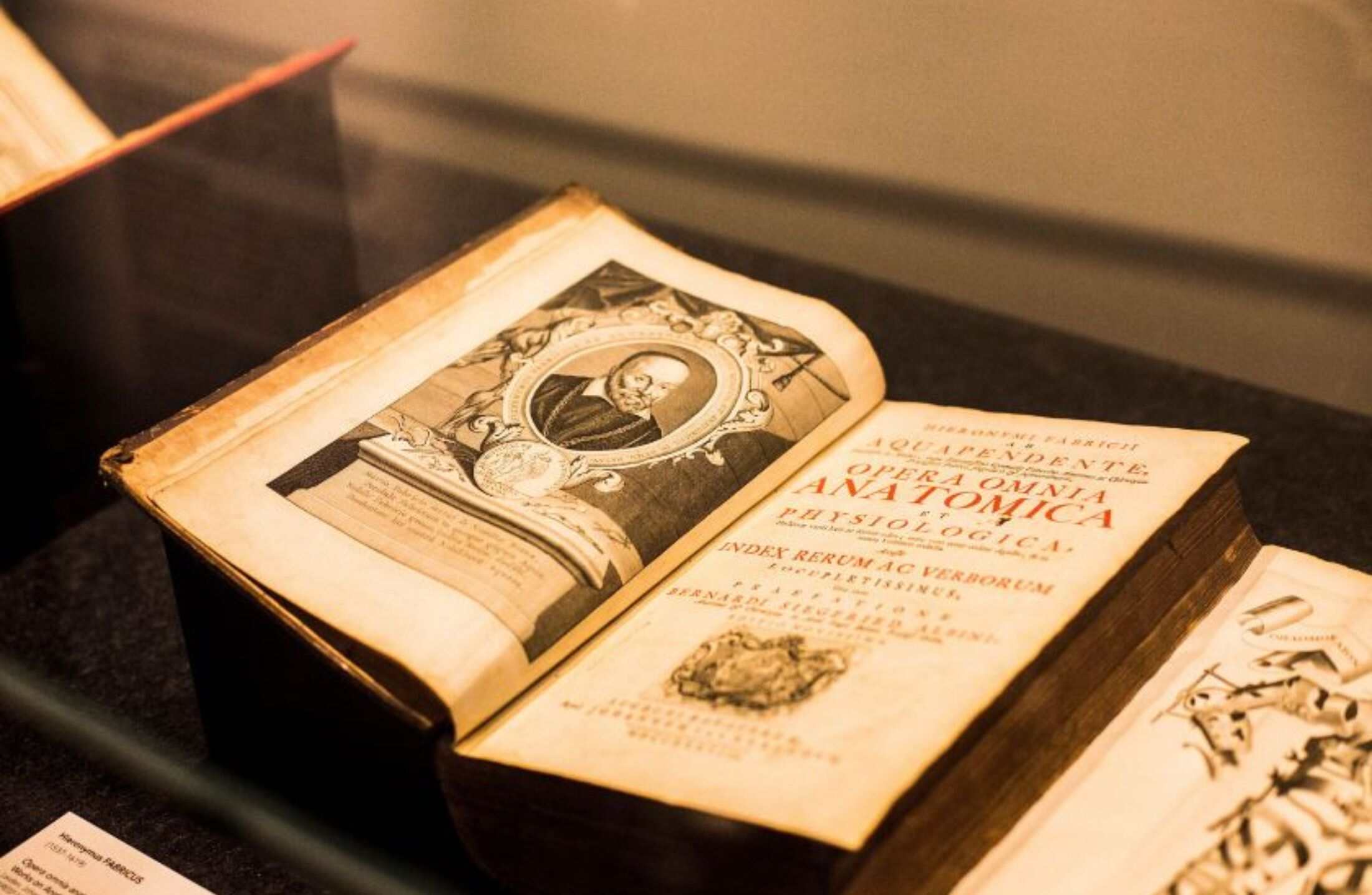 História para Medicina: temas de História do Brasil e Geral