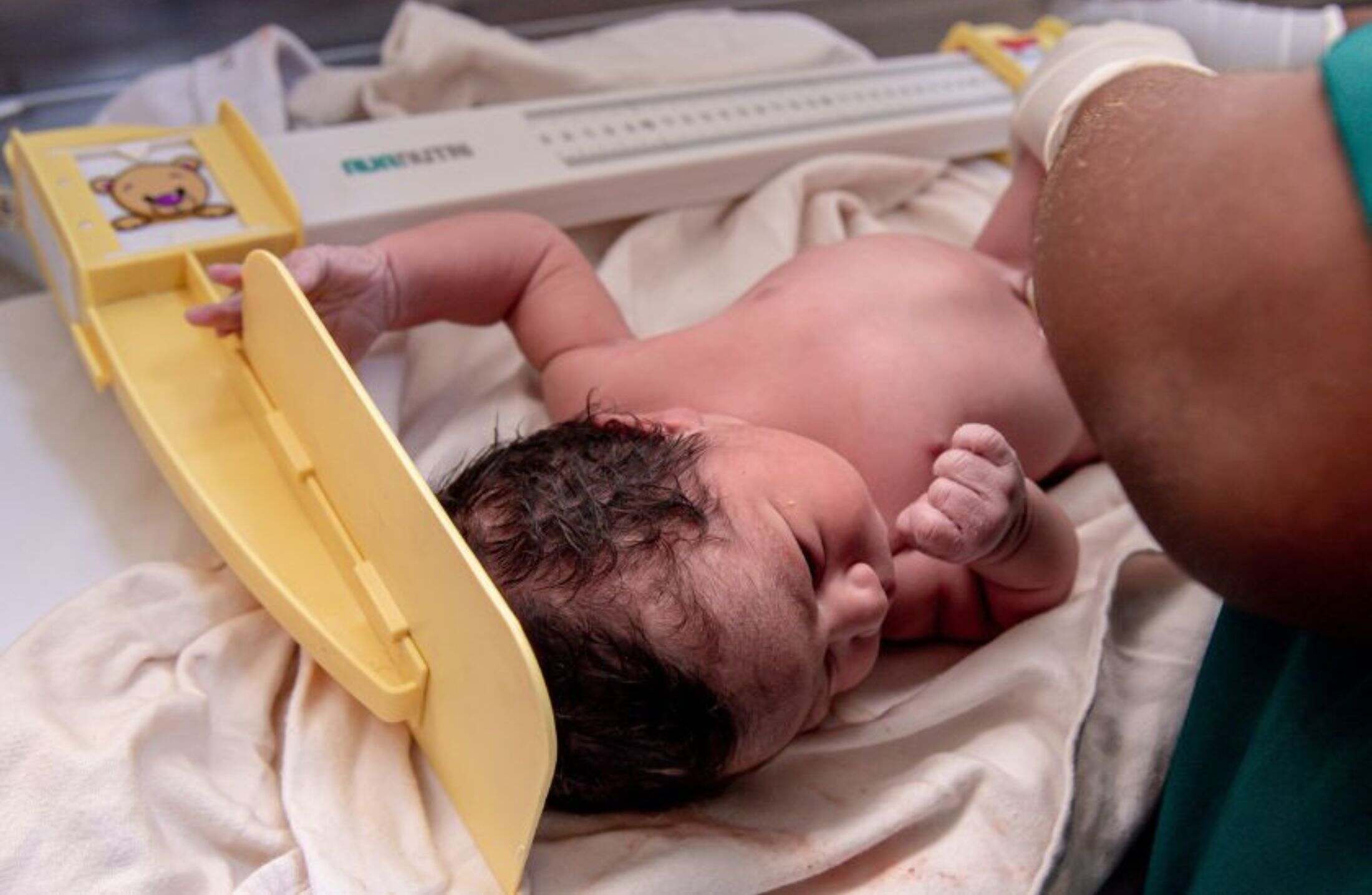 Zilda Arns: a médica que transformou a saúde infantil no Brasil