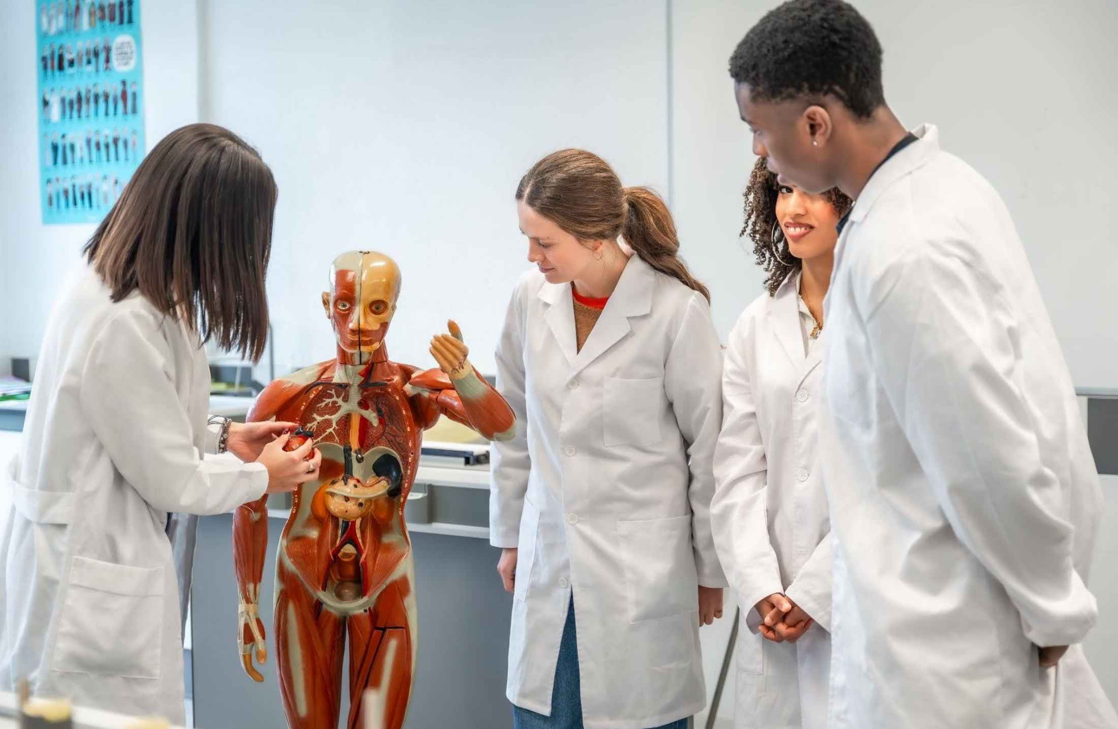 Como funciona um laboratório de Anatomia 3D de Medicina?