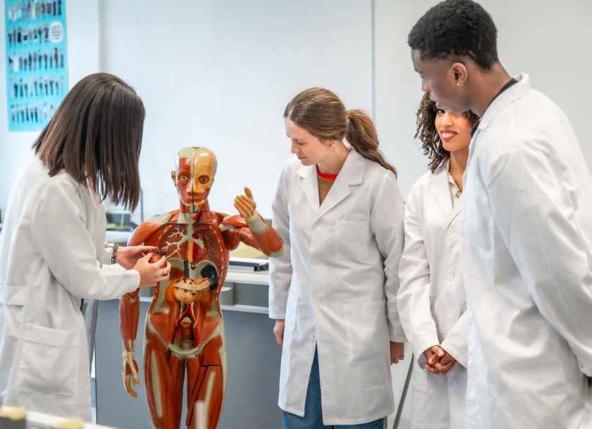 Como funciona um laboratório de Anatomia 3D de Medicina?