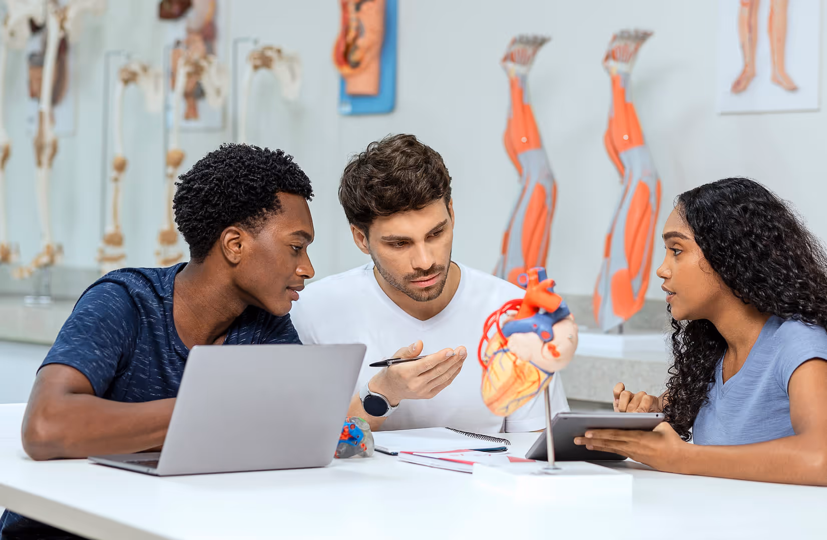 Fatos sobre o curso de medicina