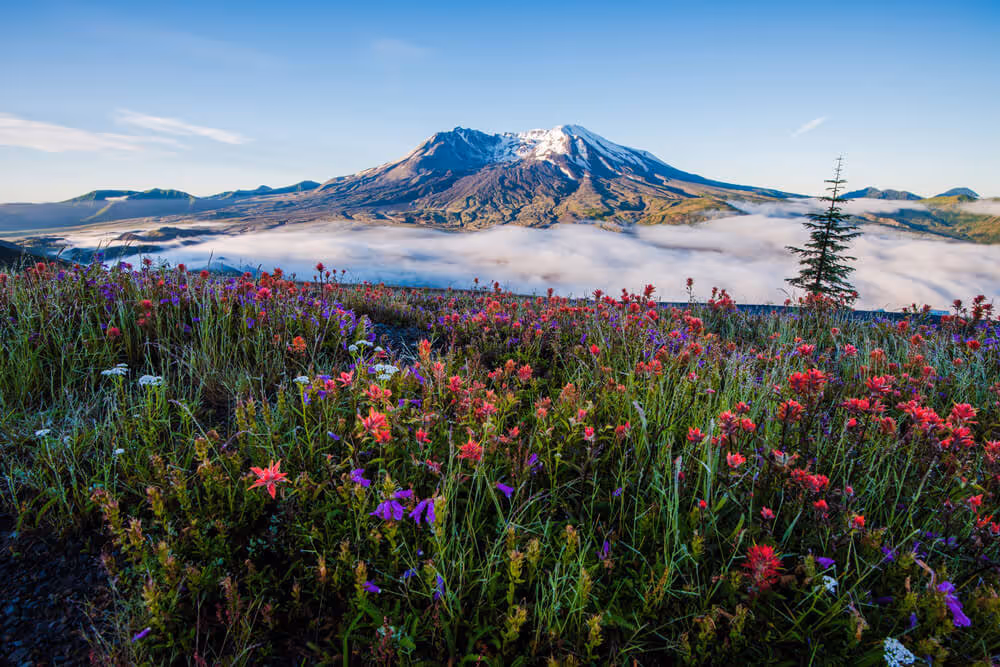Mt St. Helens in Southern Washington