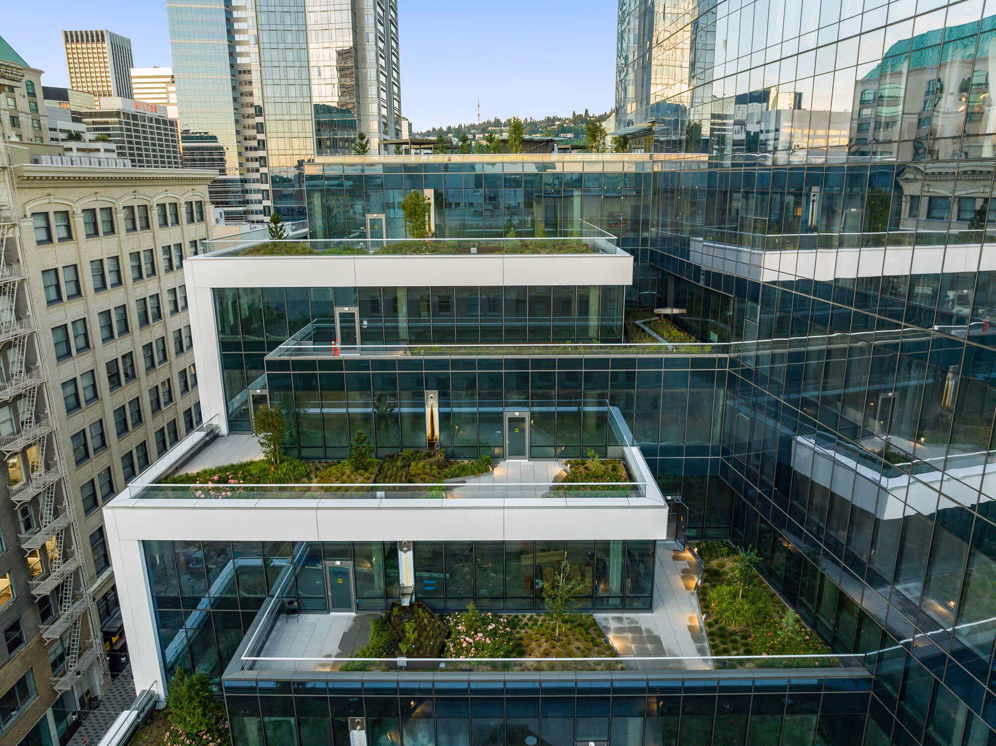 Green terraces of the Block 216 planted with native vegetation