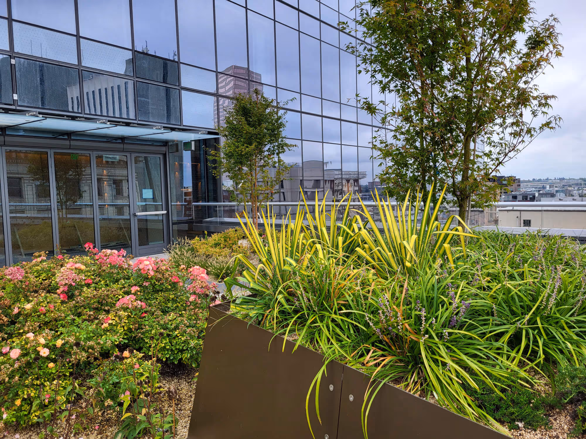 Exclusive Owners' Lounge rooftop terrace with lush green plants, flowering shrubs, and small trees.