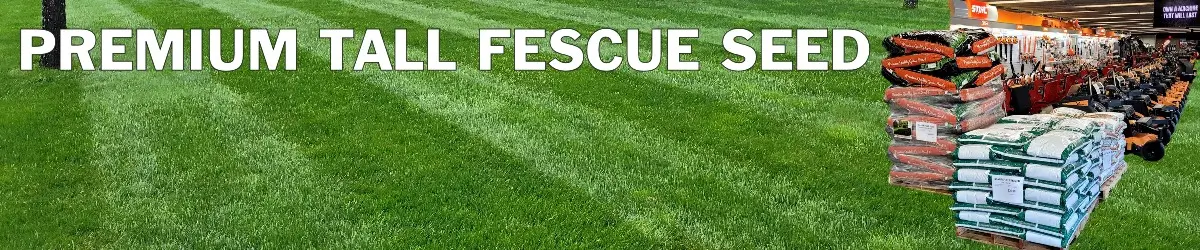 Premium Tall Fescue Seed