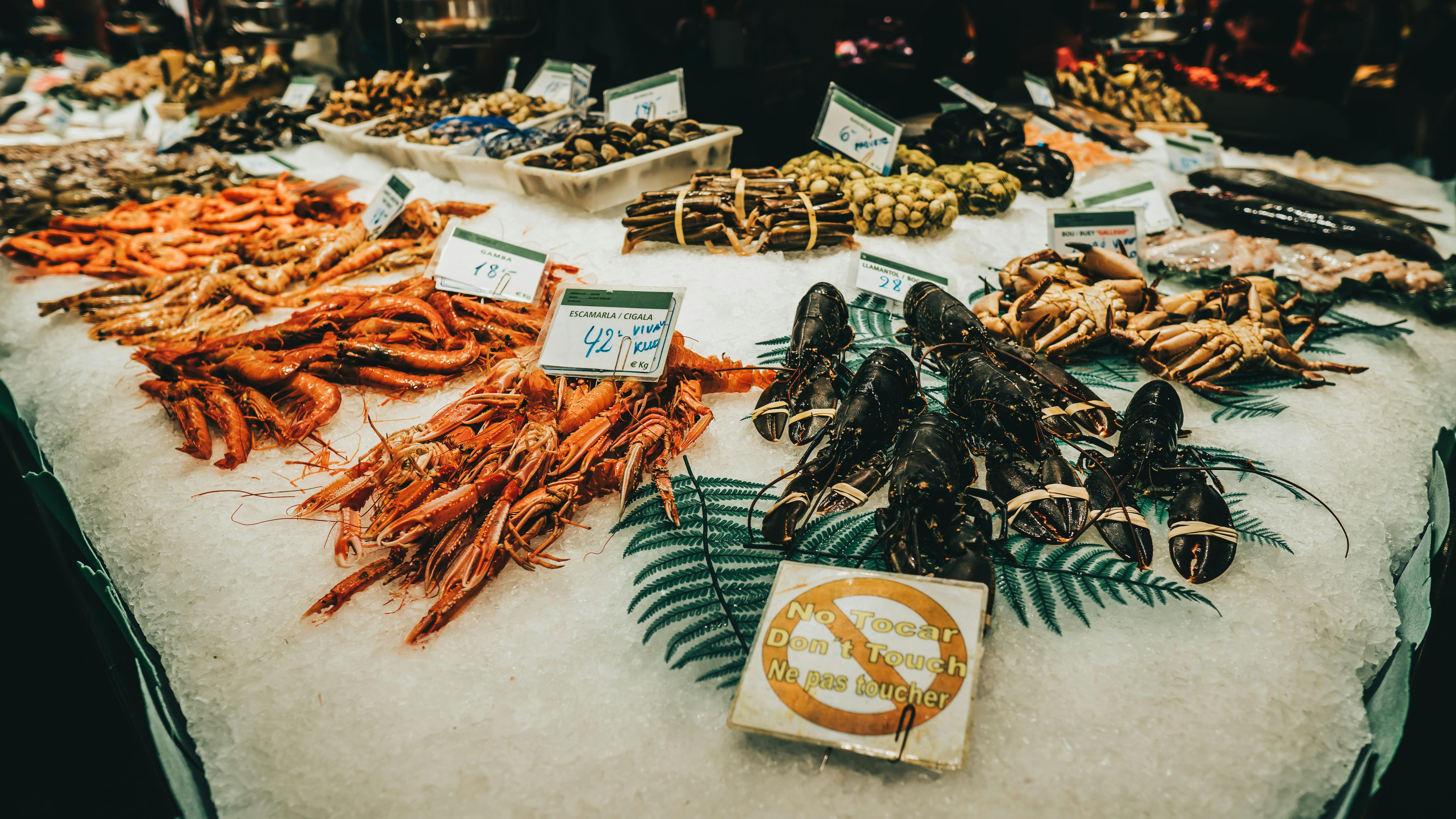 2025: Et vendepunkt for Nora Foods – sterk vekst og tydelig retning fremover