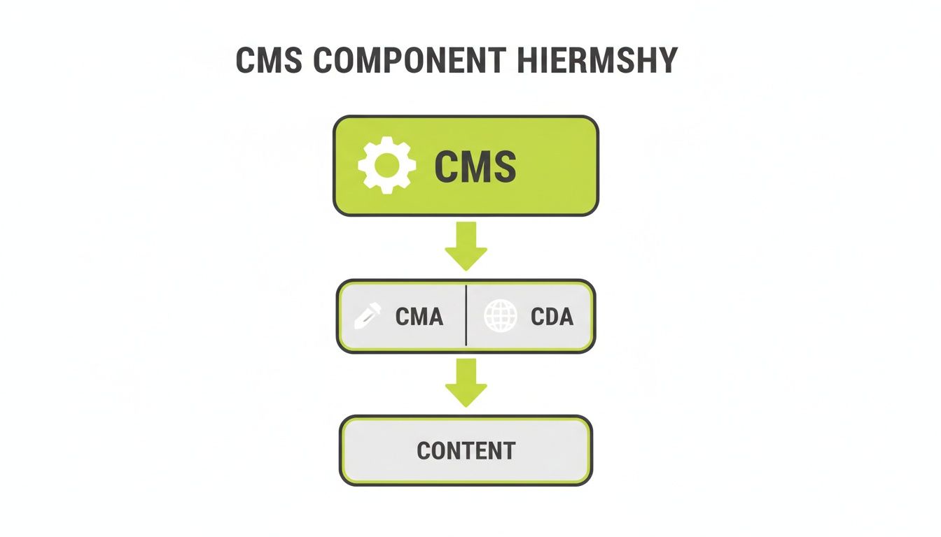 Diagram illustrating the hierarchical components of a CMS: CMS, Content Management Application (CMA), Content Delivery Application (CDA), and Content.
