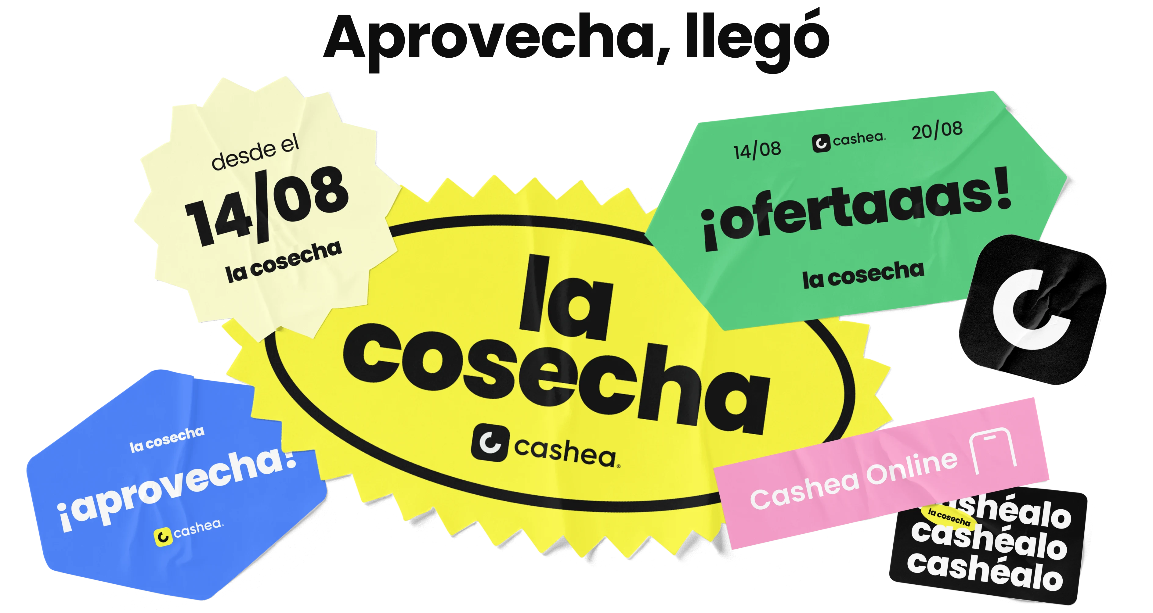 ¡Ya viene la cosecha! 