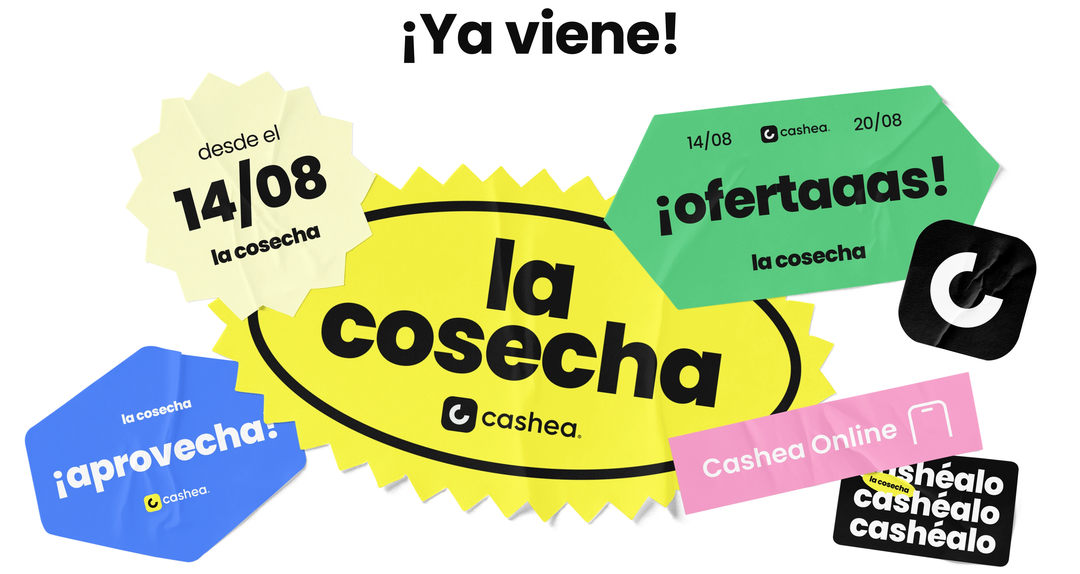 ¡Ya viene la cosecha! 