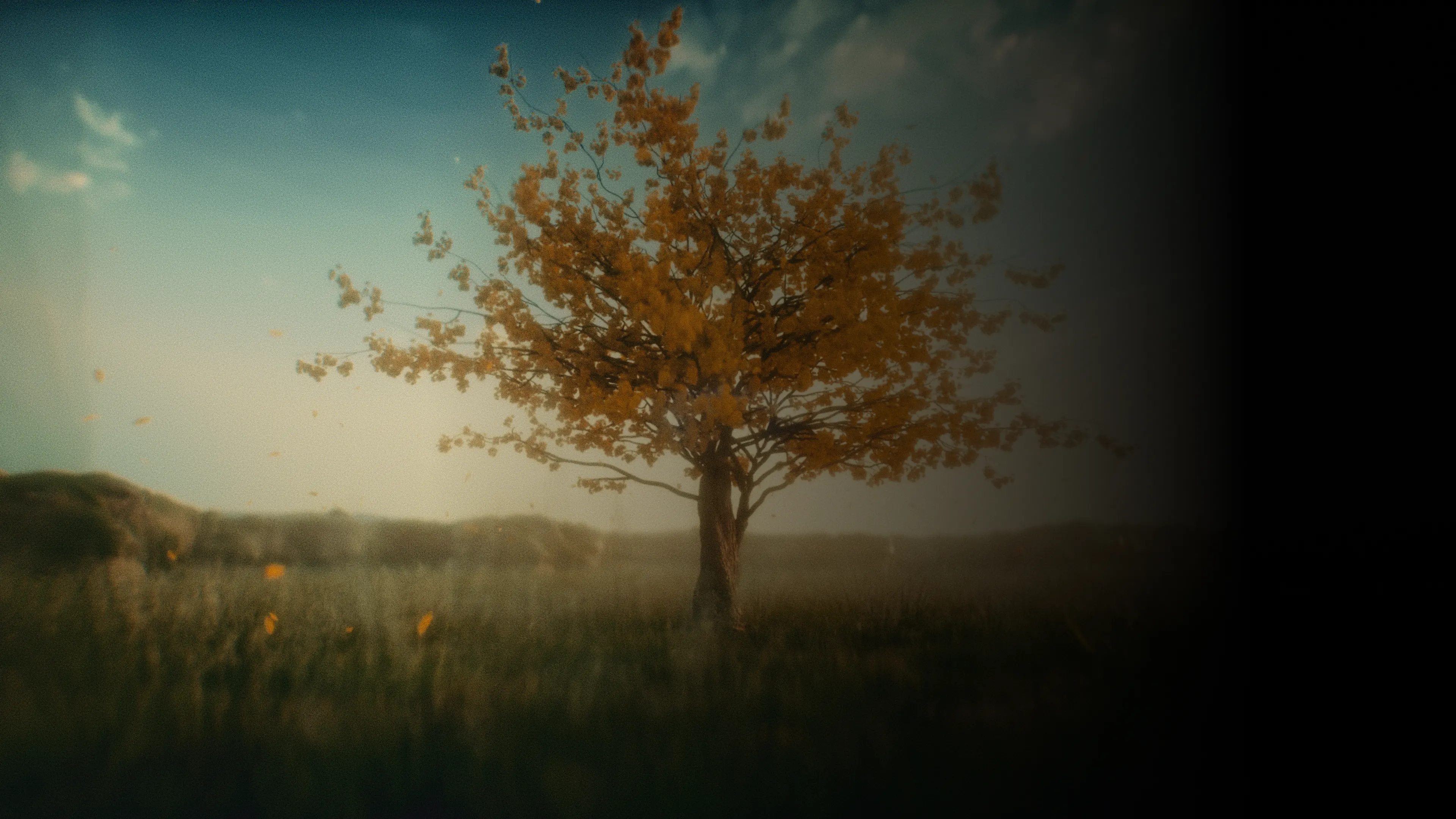 ¡3 años sembrando confianza!