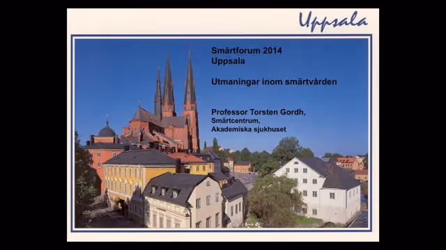 Torsten Gordh, professor i klinisk smärtforskning, Uppsala Universitet, Smärtcentrum - Akademiska sjukhuset