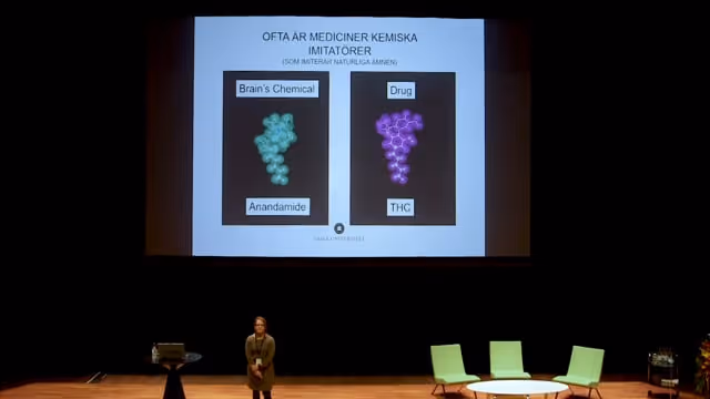Karin Larsén, Professor, Umeå universitet