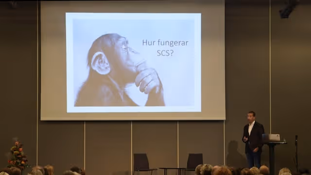Pedram Tabatabei, Överläkare, neurokirurg, Norrlands Universitetssjukhus. Rikard Wicksell, Med dr, docent i psykologi, leg psykolog, Karolinska Universitetssjukhuset. Olaf Gräbel, Vårdenhetsöverläkare, Östra sjukhuset – Sahlgrenska Universitetssjukhuset, Göteborg.