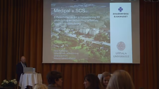 Terje Kirketeig, Smärtcentrum, Akademiska sjukhuset, Uppsala