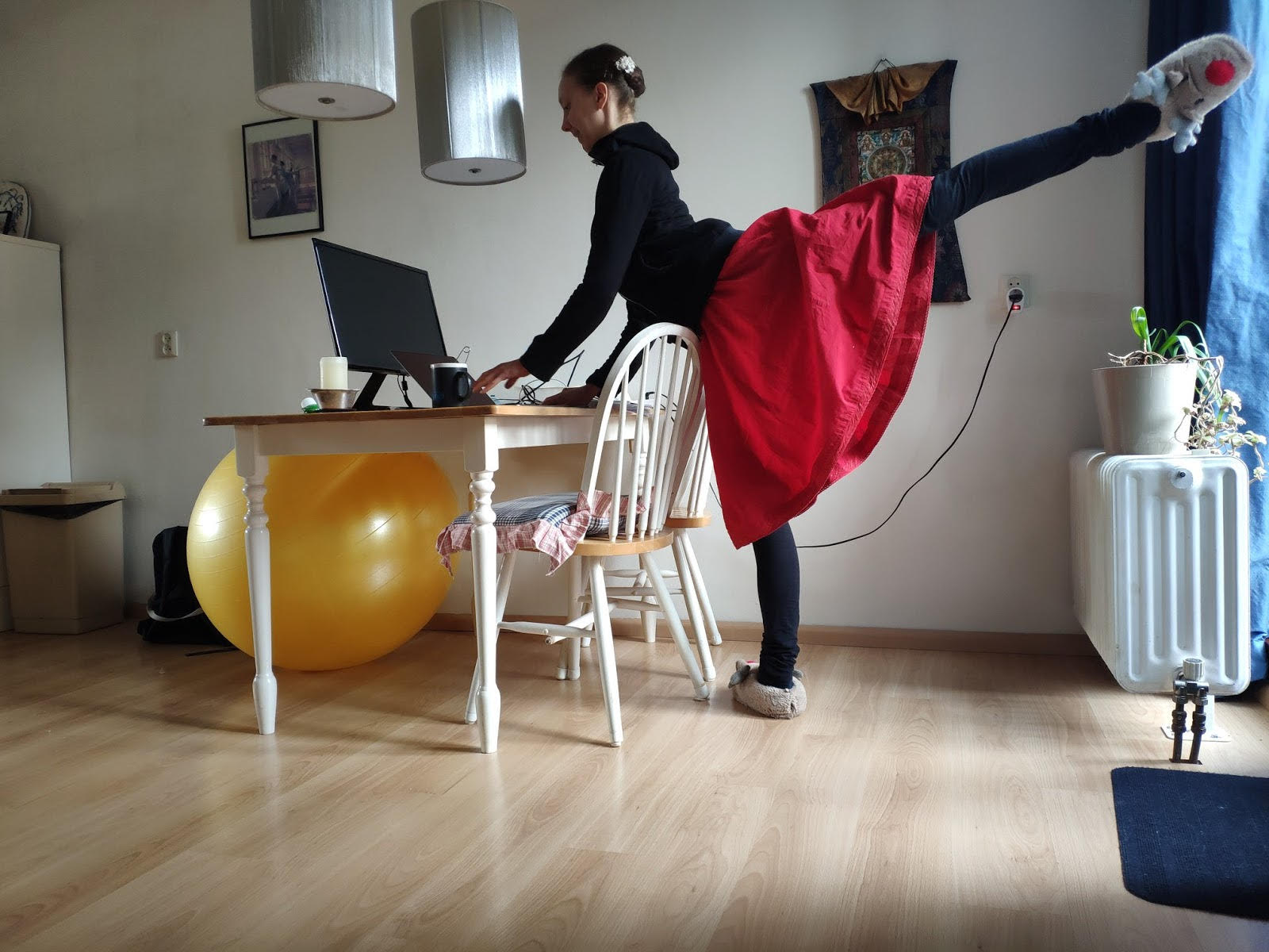 Marieke van Vugt's Home Office