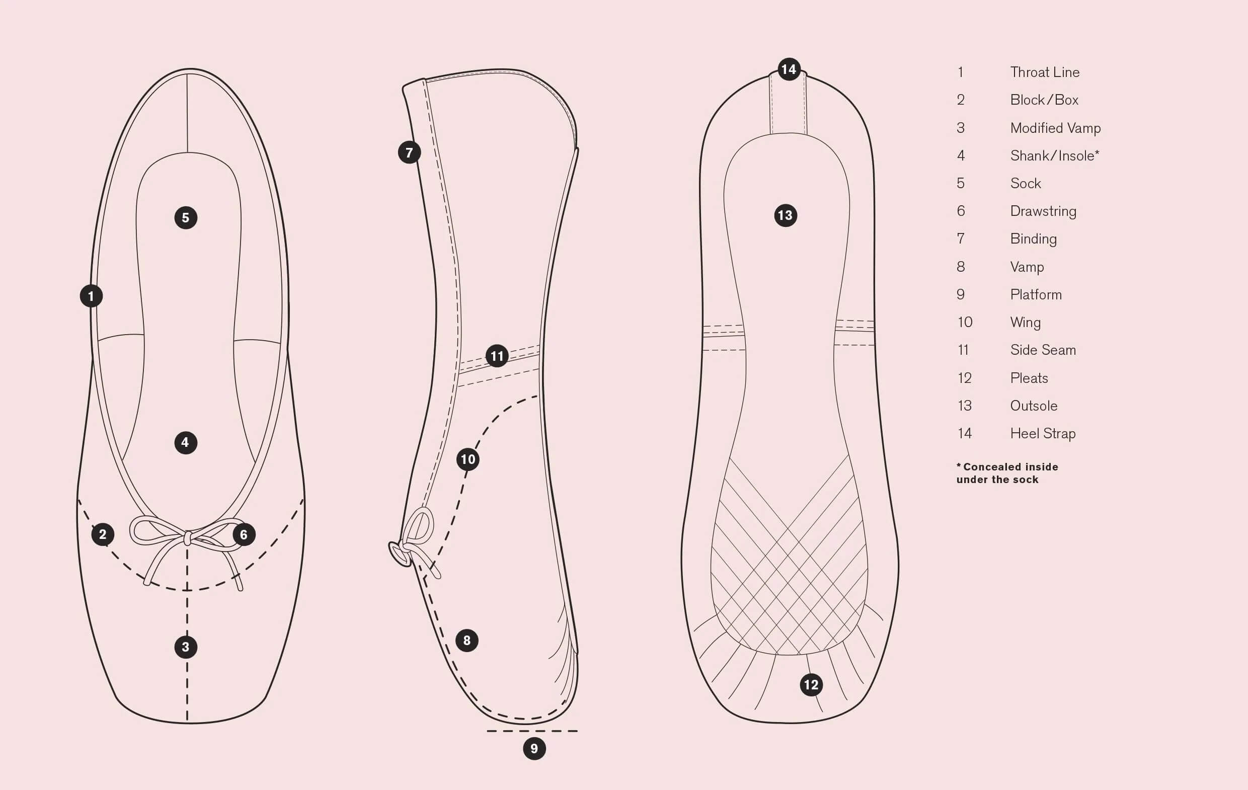 Pointe shoe anatomy chart