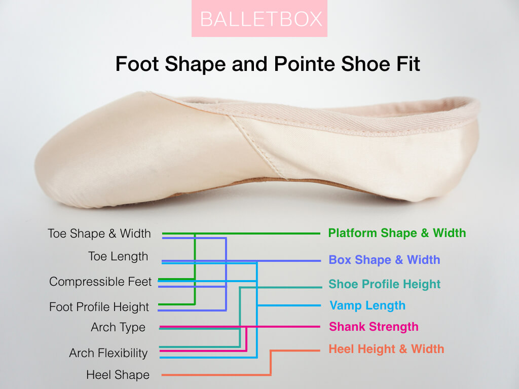 Foot Shapes and Pointe Shoe Fit Chart