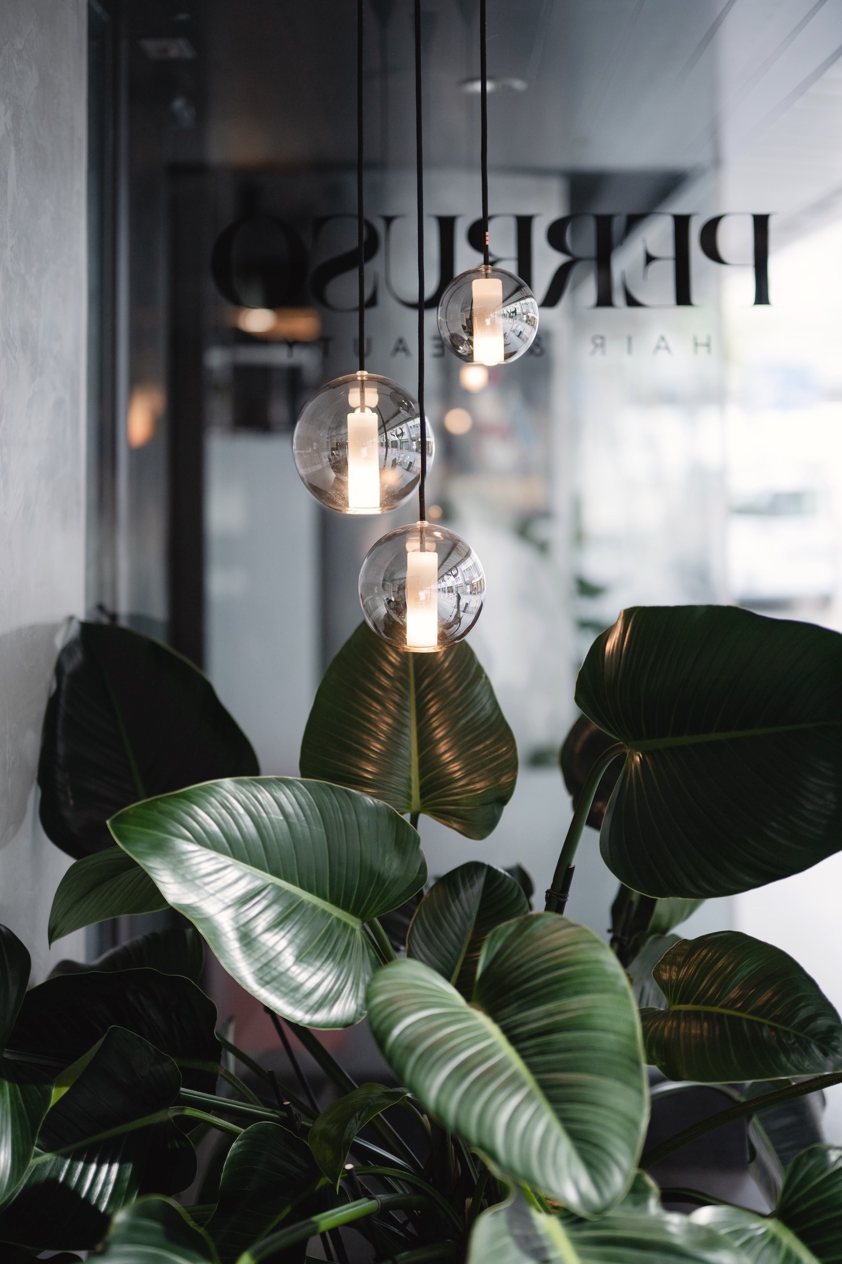 Green big-leafed plant underneath round glass bulb trio lamp.