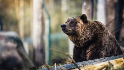 How Conservation NW raised over $90K with FreeWill’s Smart Giving Suite