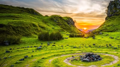 How Greenpeace Fund is driving fundraising growth with stock gifts