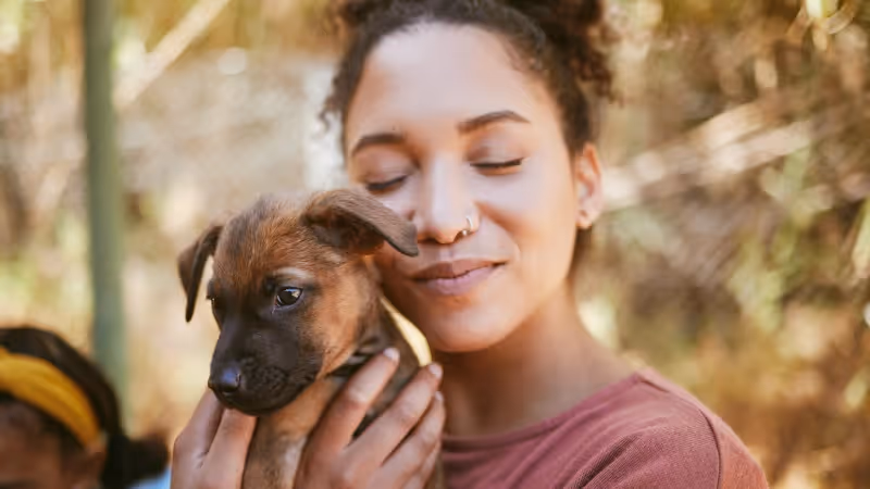 How Greenhill Humane Society raised over $4.8M
in legacy gifts with FreeWill