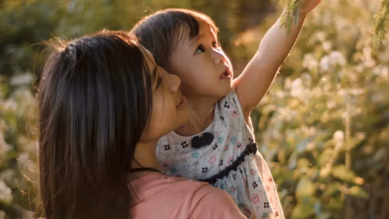 $430K in Legacy Gifts: How WYCF is Future-Proofing Wyoming with FreeWill