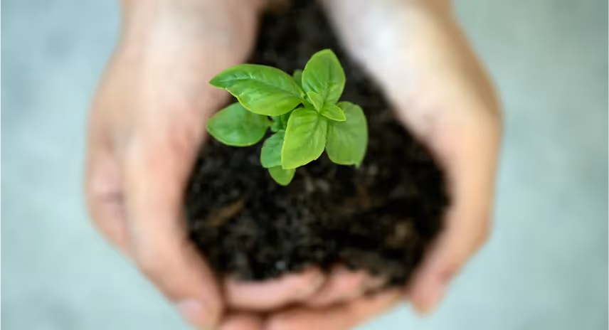 NEPAW in action: Smart strategies that get big results