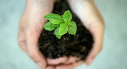 NEPAW in action: Smart strategies that get big results