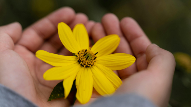 New stewardship research & our biggest takeaways from the FreeWill Stewardship Summit