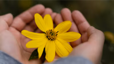 New stewardship research & our biggest takeaways from the FreeWill Stewardship Summit