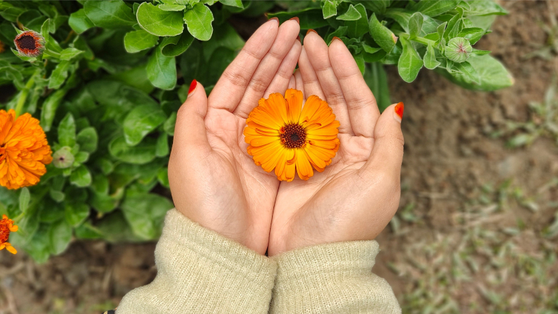 World-class stewardship for your December donors
