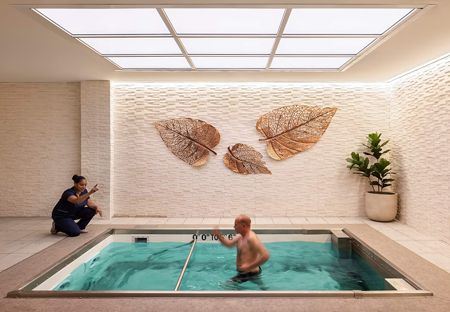 Wellness therapy pool