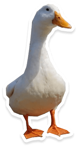Goose sticker