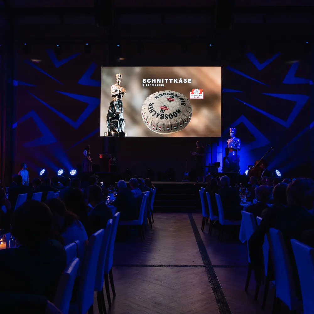 Portfoliobild im Herobereich vom Projekt Eventablichtung AMA-Käsekaiser 2024