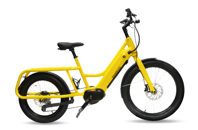 Dosun CG135 Cargo E-Bike