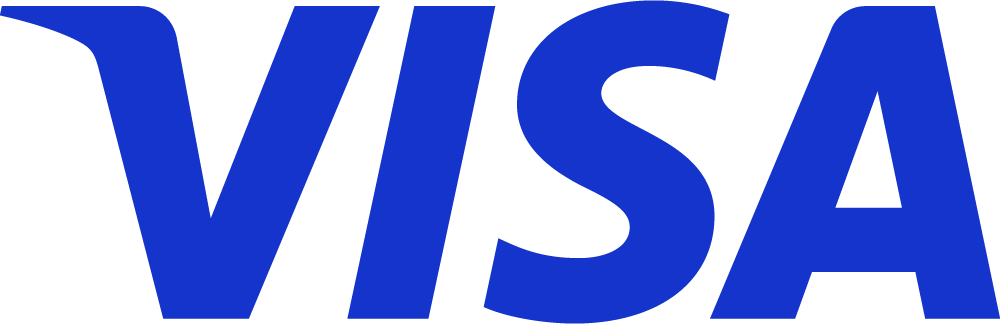 Visa payment partner logo