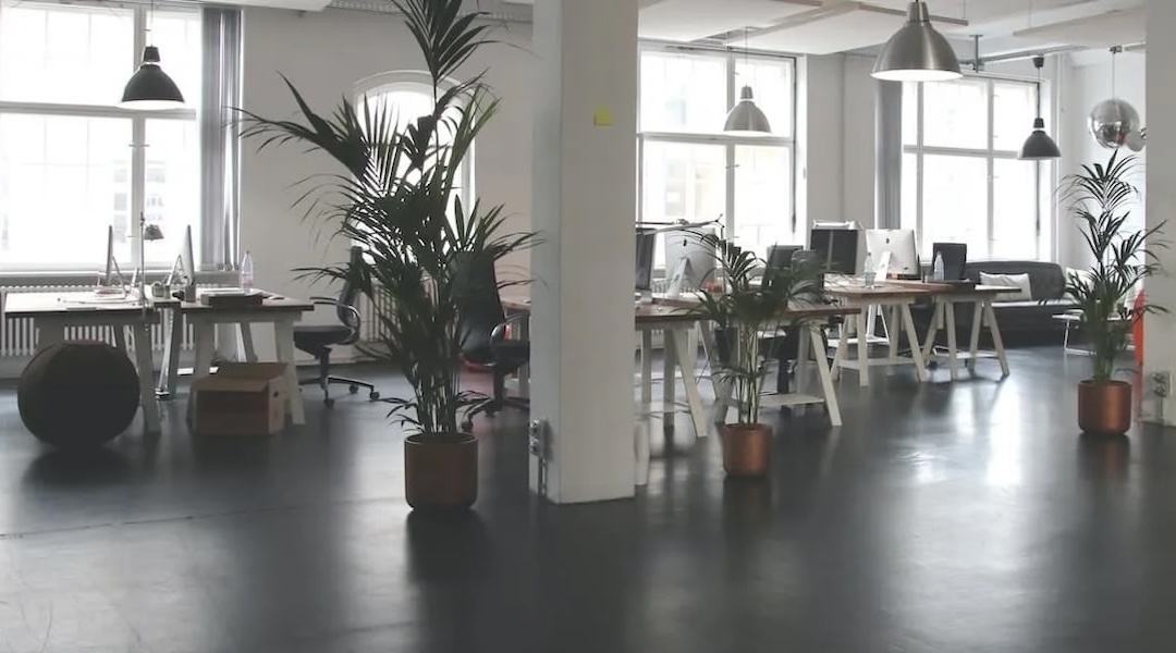 Open-plan office environment illustrating the acoustic challenges and furniture-based sound management solutions available through Office Gallery International for Boston-area businesses
