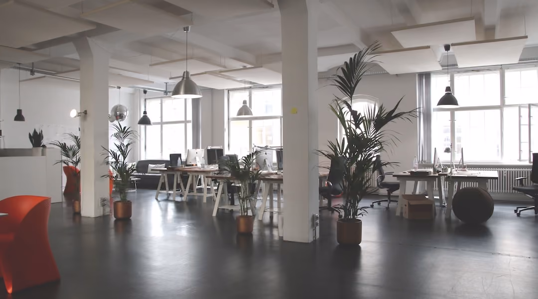 Spacious modern office interior with desks, plants, and natural lighting designed by Office Gallery.