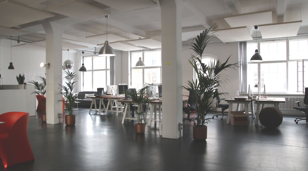 Spacious modern office interior with desks, plants, and natural lighting designed by Office Gallery.
