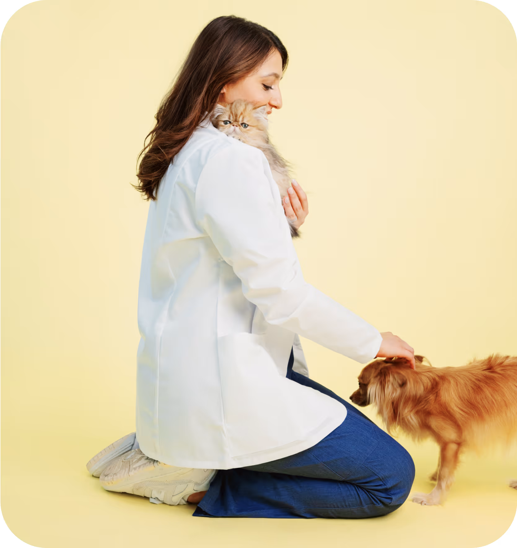 vet holding kitten on shoulder and petting dog on floor