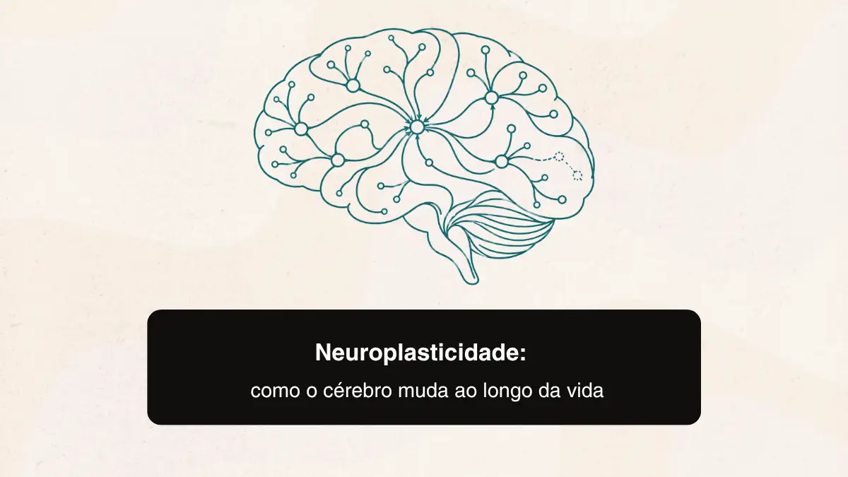 Neuroplasticidade: como o cérebro muda ao longo da vida