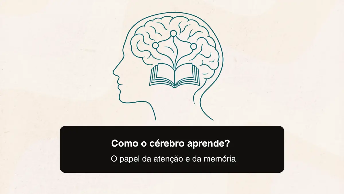 Como o cérebro aprende? O papel da atenção e da memória