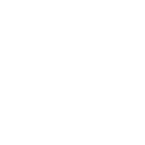 Global Collection Report