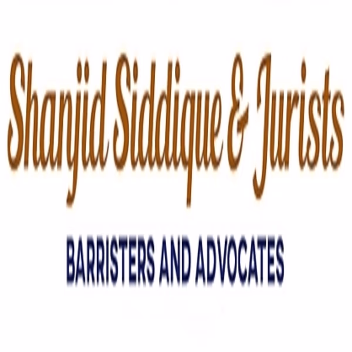 Shanjid Siddique and Jurists