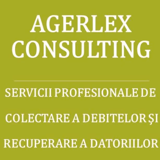 AGERLEX CONSULTING