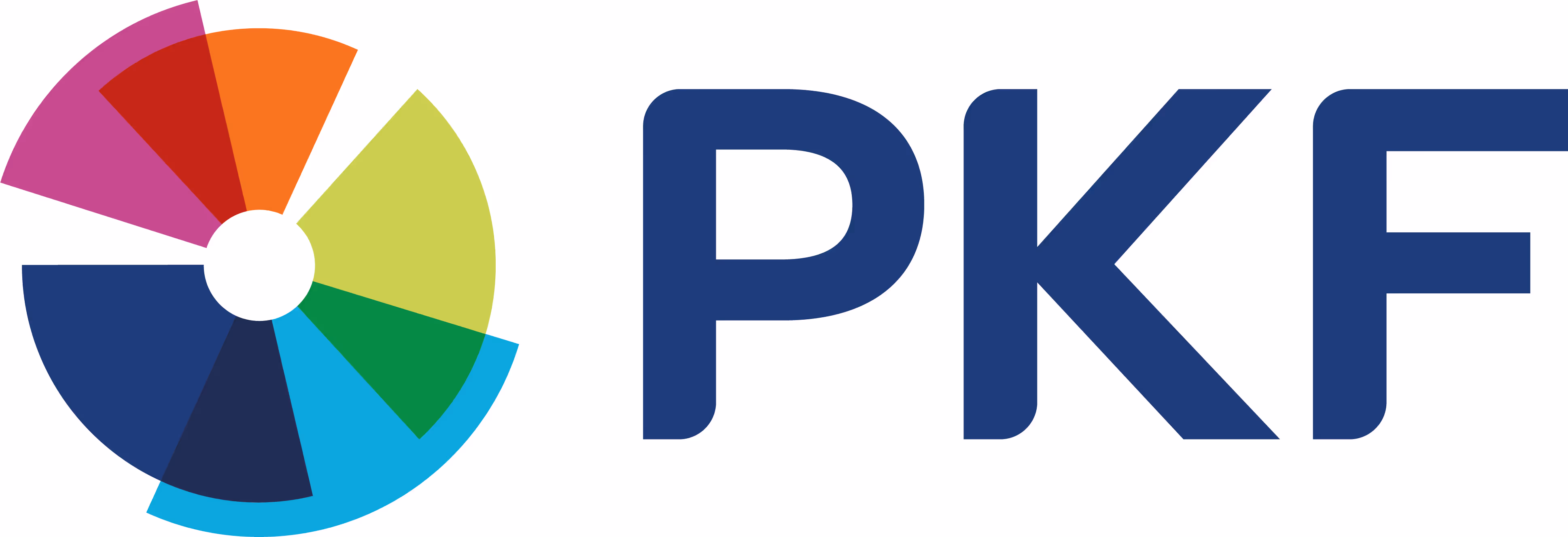 PKF Kazakhstan