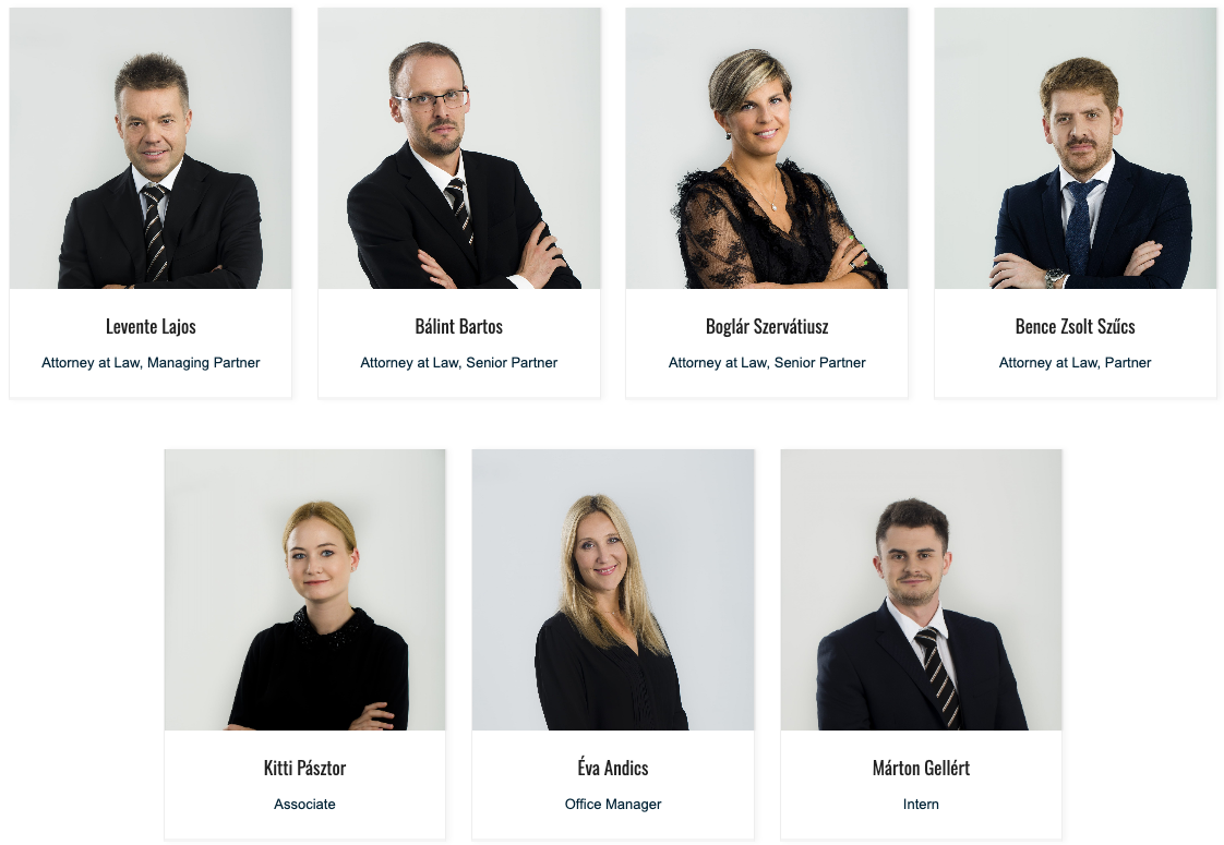 Lajos Law Firm Team