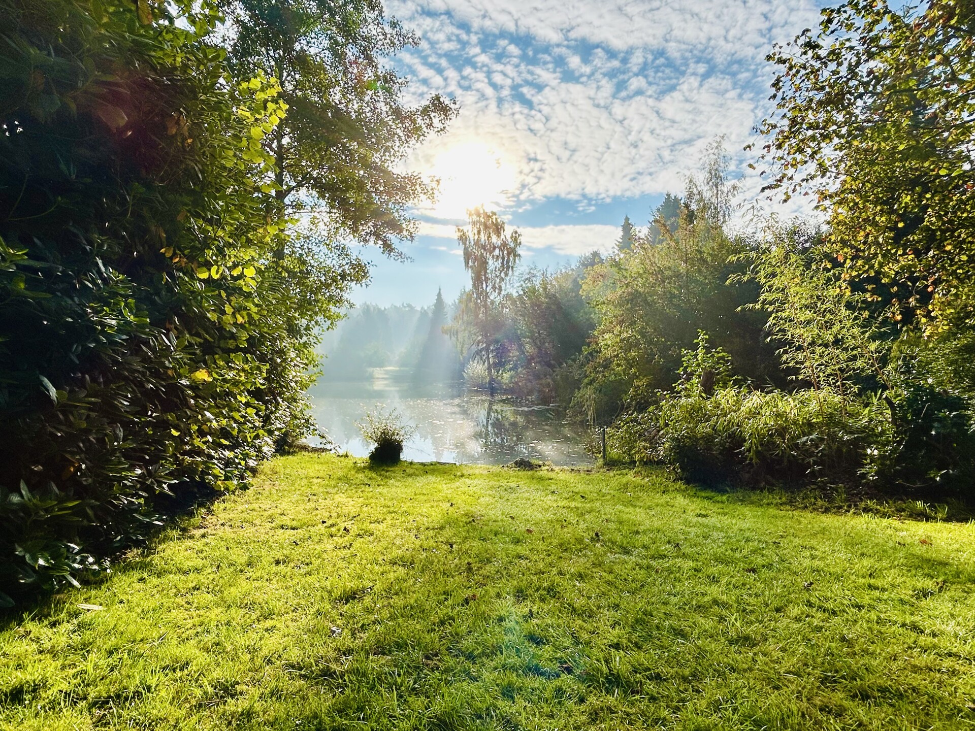 Krukenberg Immobilien Angebot Bild