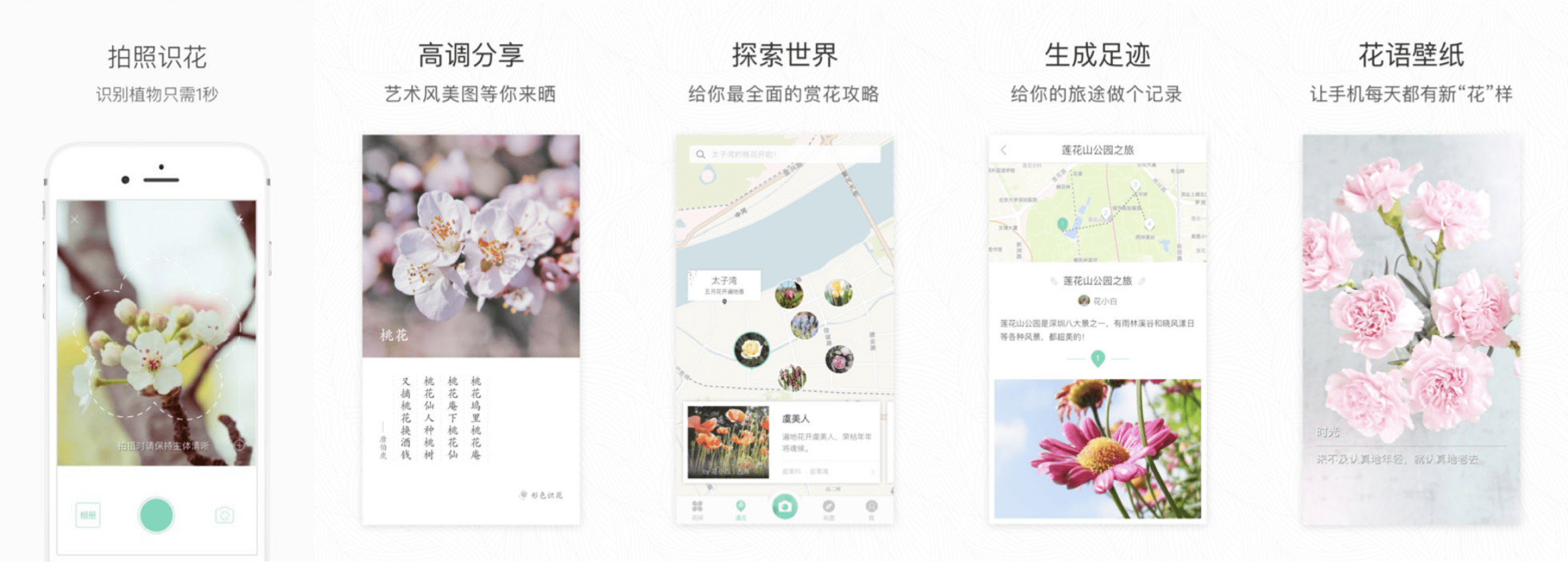 Xingse: A Popular Plant Identifier Tool in Chinese App Market