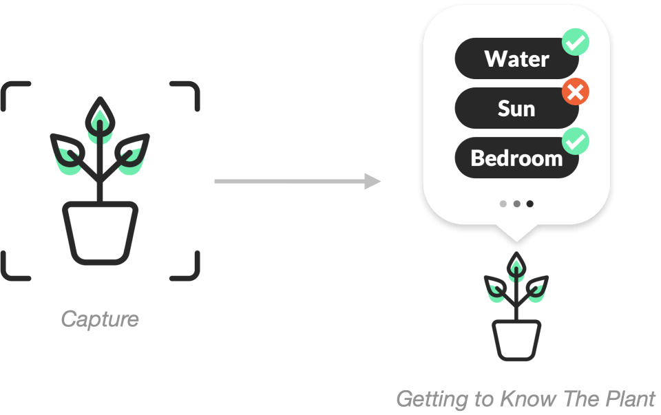 plant-solution-illustration-1